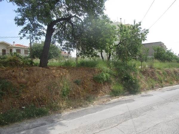 (Προς Πώληση) Αξιοποιήσιμη Γη Οικόπεδο εντός οικισμού || Ν. Χίος/Χίος Χώρα - Τιμή: 75.000€ 