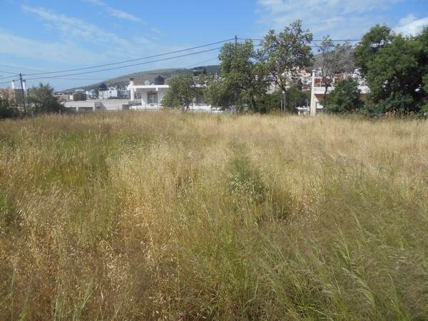 (For Sale) Land Plot wIthin Settlement || Chios/Chios Chora - 475 Sq.m, 250.000€ 