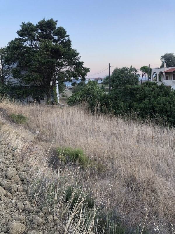 (For Sale) Land Plot wIthin Settlement || Chios/Mastichochoria - 929 Sq.m, 70.000€ 