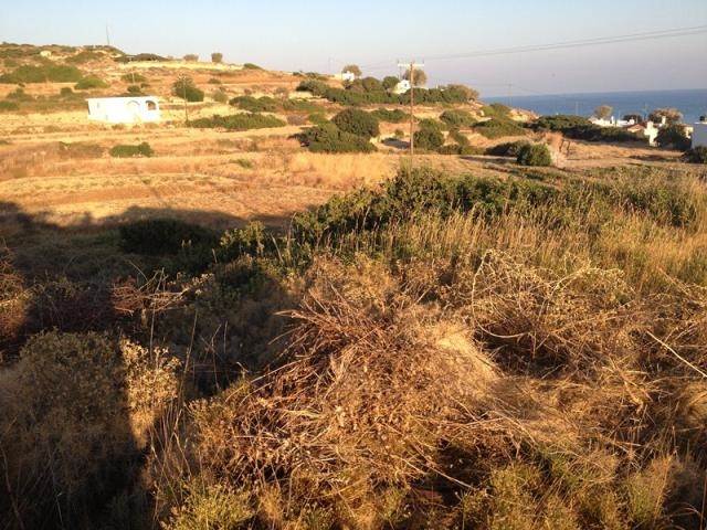 (For Sale) Land Plot || Chios/Pyrgi - 766,00Sq.m, 45.000€ 