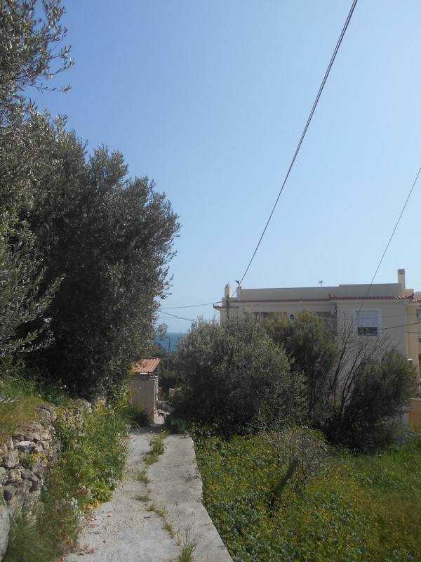 (For Sale) Land Plot wIthin Settlement || Chios/Omiroupoli - 517 Sq.m, 160.000€ 