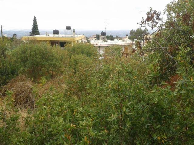(For Sale) Land Plot || Chios/Vrontada - 1.109,67Sq.m, 180.000€ 