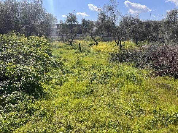(For Sale) Land Plot wIthin Settlement || Chios/Chios Chora - 2.640 Sq.m, 685.000€ 