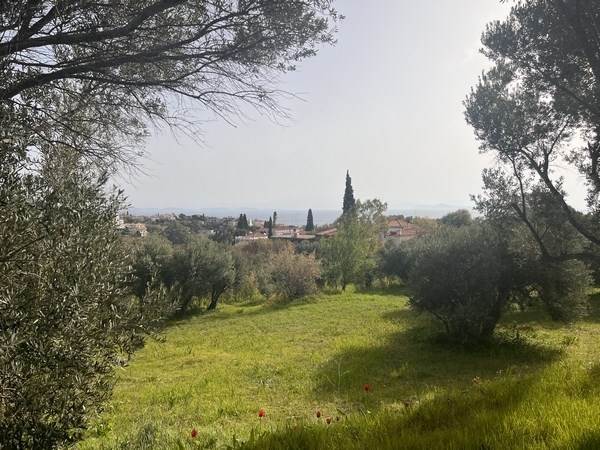 (For Sale) Land Plot || Chios/Omiroupoli - 642 Sq.m, 1€ 