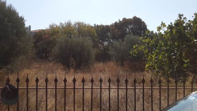 (For Sale) Land Plot wIthin Settlement || Chios/Omiroupoli - 1.600Sq.m, 160.000€ 