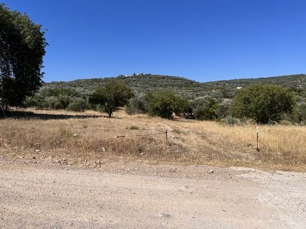 (For Sale) Land Agricultural Land  || Chios/Agios Minas - 1.370 Sq.m, 23.000€ 