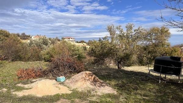 (For Sale) Land Plot || Chios/Omiroupoli - 1 Sq.m, 120.000€ 
