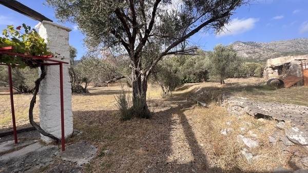 (For Sale) Land Plot || Chios/Kampochora - 1.280 Sq.m, 25.000€ 